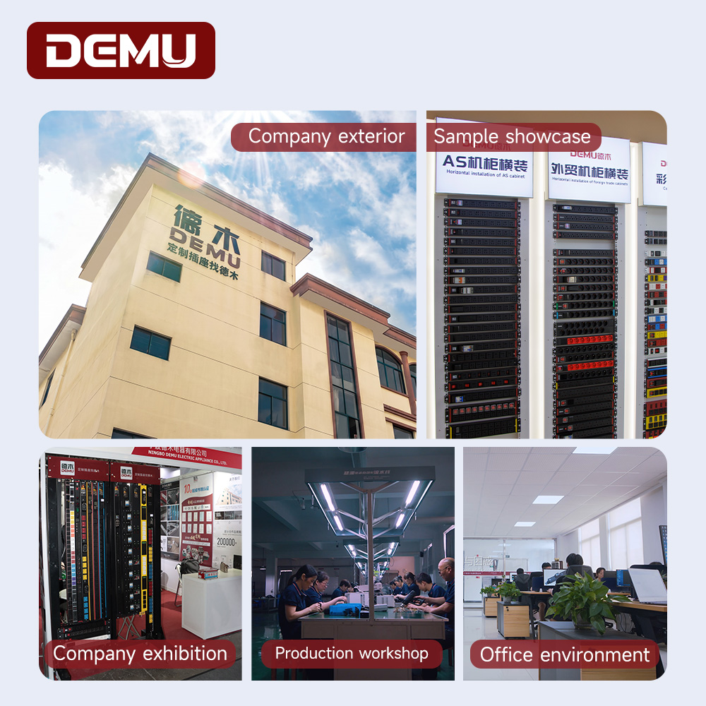 Industrial 1U Rack PDU 8 Way Schuko Outlets Double Pole SPD Surge T5 Aluminum Server Cabinet