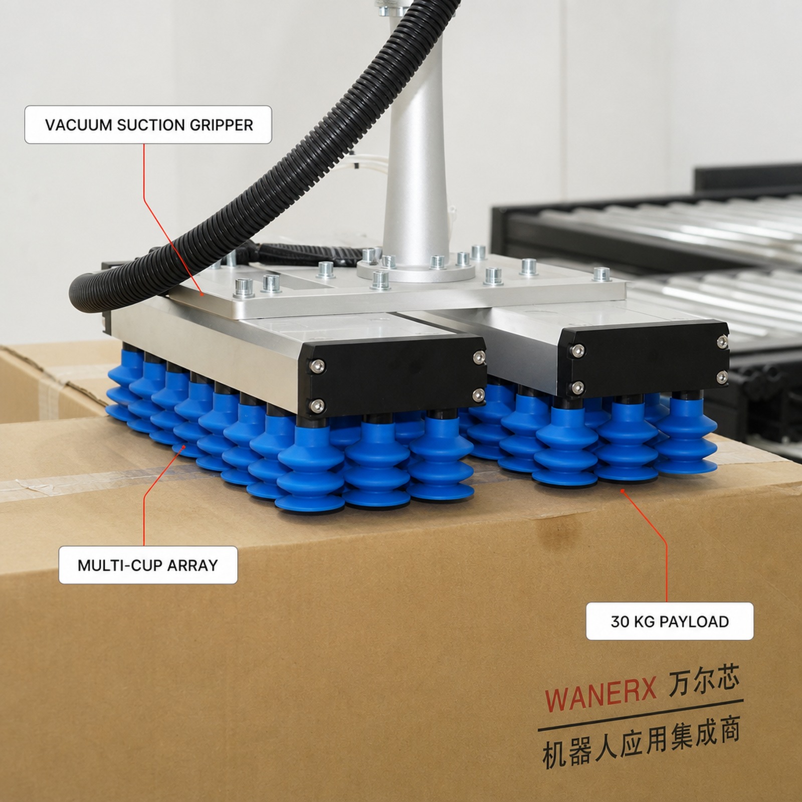 End Of Line 30kg Carton Palletizer With Suction Gripper For Finished Case Stacking And Shipping Flow