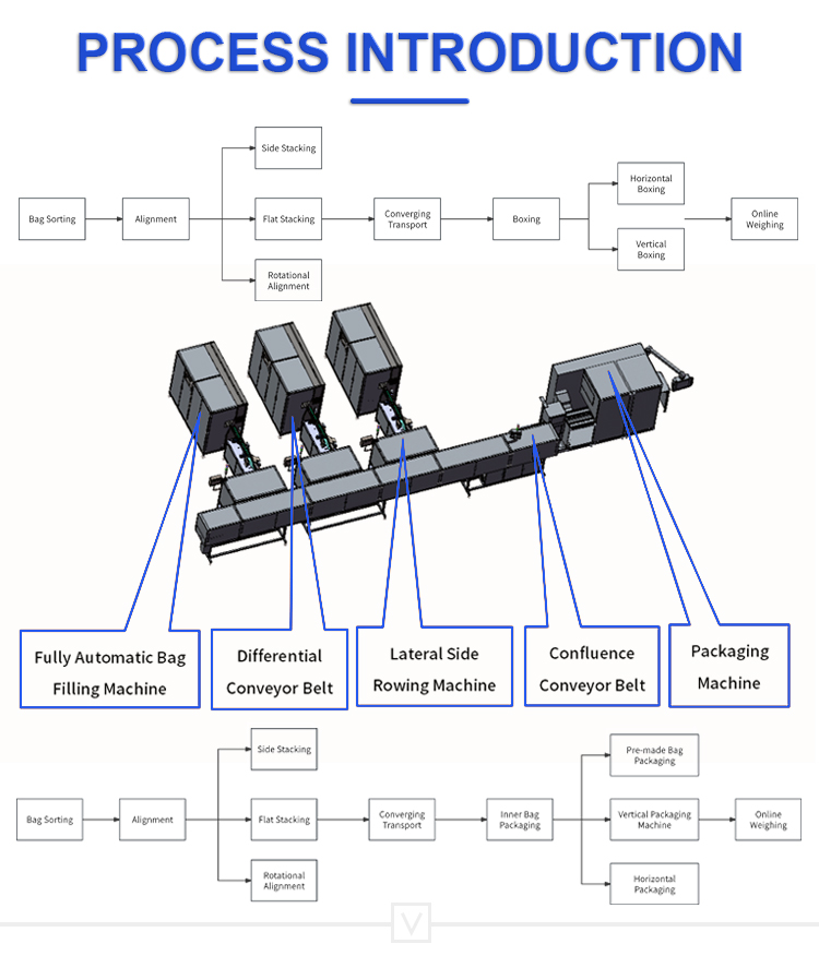 Multi Lane Pouch Alignment System 4