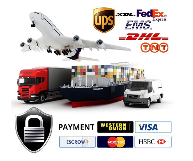 Delivery & Shipping