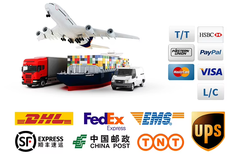 Shipping and Logistics
