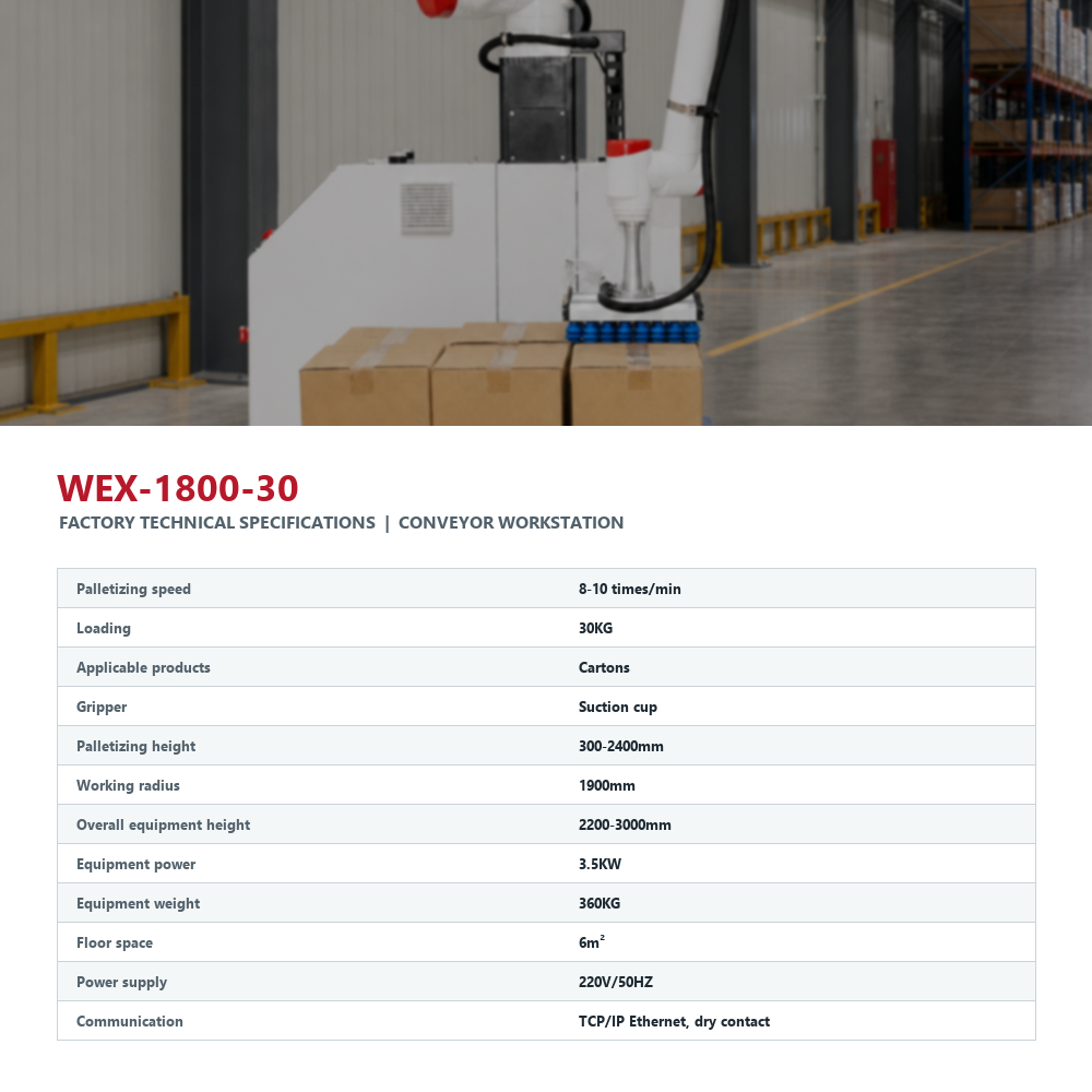 End Of Line 30kg Carton Palletizer With Suction Gripper For Finished Case Stacking And Shipping Flow