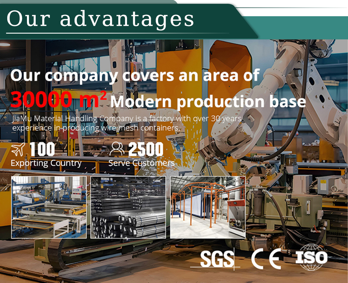 Our Advantages Overview