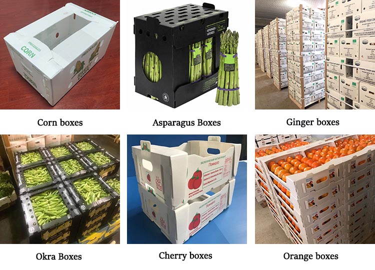 Wholesale Customized Foldable Stackable Plastic Storage Warehouse Picking Boxes Bins Plastic Picking Bins