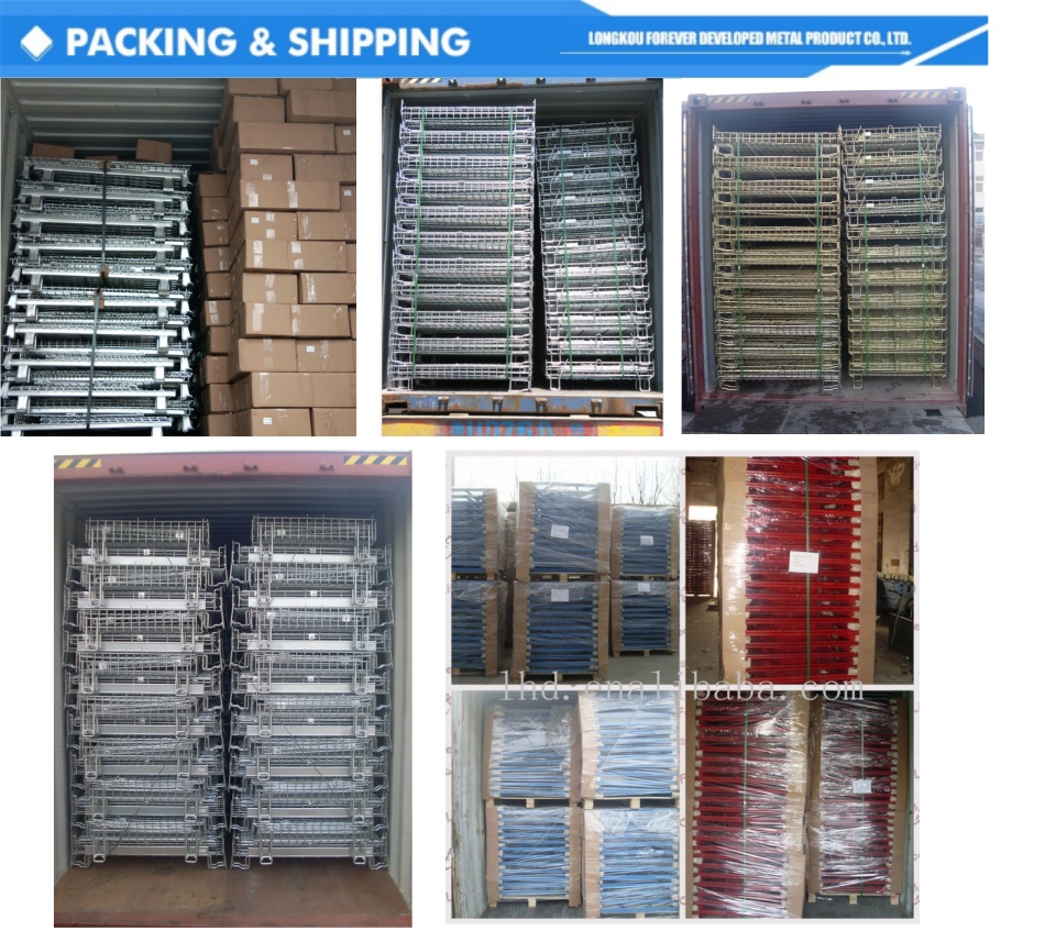 Shipping Logistics