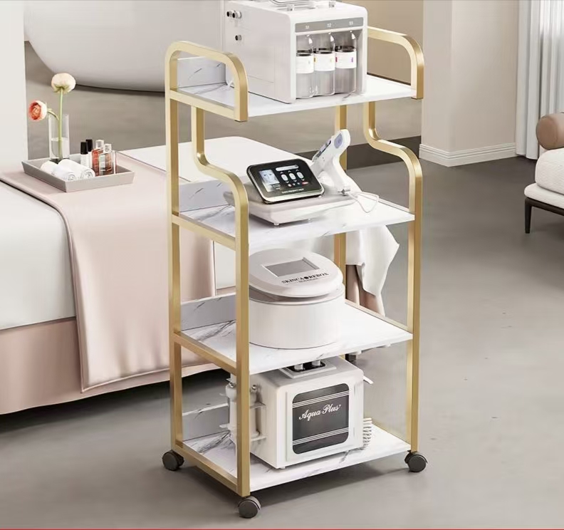 Beauty Salon Special Trolley Skin Management Mobile Hand Push Rack Plastic Surgery Advanced Instrument Hand Push Tool Cart