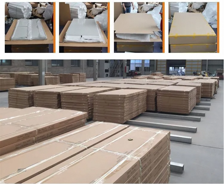 Professional Packaging Process