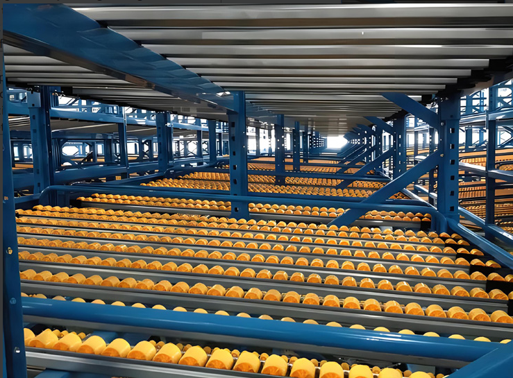 Flow Rack Track Mechanism