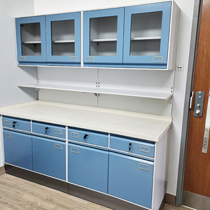 High-quality Modern Steel Dental Laboratory Hospital Cabinet Modular Combinations Wall Mount Installation Easy