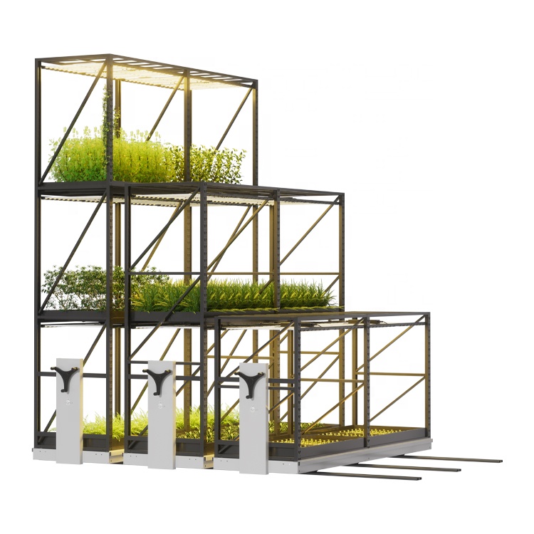 Metal Mobile Compactor High Density Movable Shelf Storage Shelving System Vertical Grow Mobile Racking for Crops