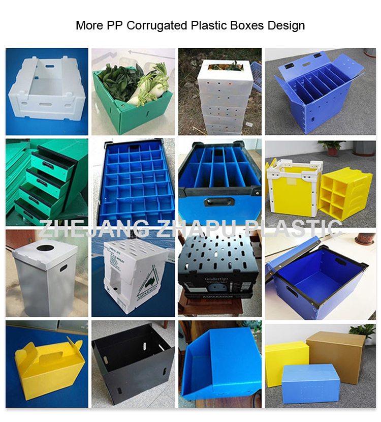 Product Presentation 1