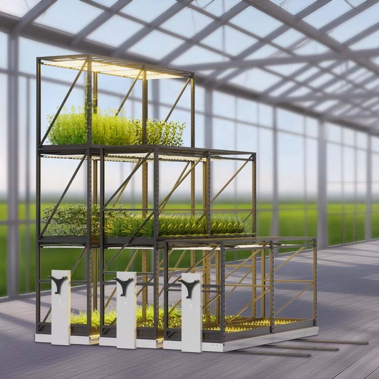 Metal Mobile Compactor High Density Movable Shelf Storage Shelving System Vertical Grow Mobile Racking for Crops